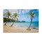 Stupell Industries Tropical Palm Tree Trio Canvas Wall Art Design by Mary Lou Johnson